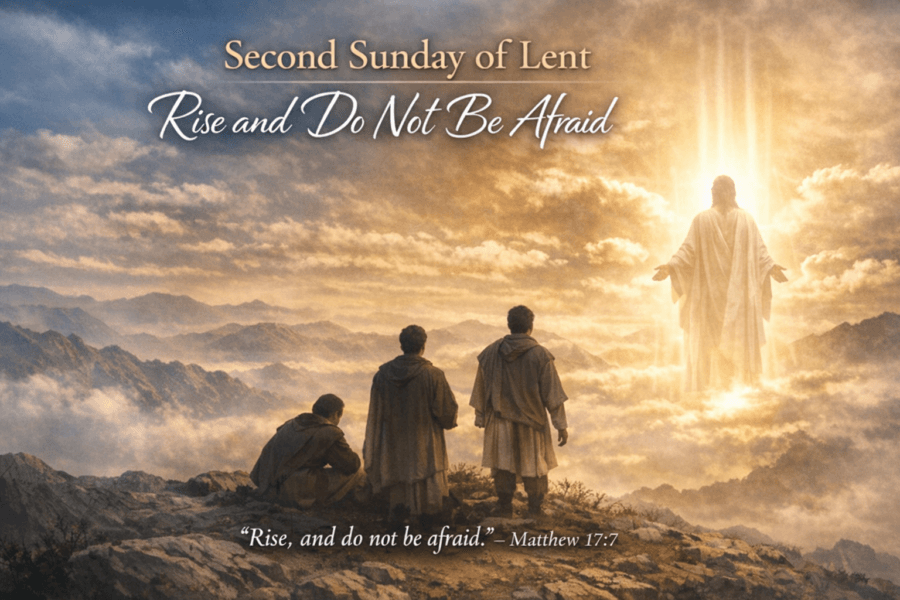 "Rise, and do not be afraid." - Matthew 17:7